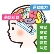 くぼたのうけんカリキュラム